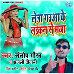 Lela Gauwa Ke Laikan Se Maja