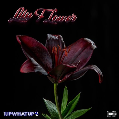 Called Out cover art