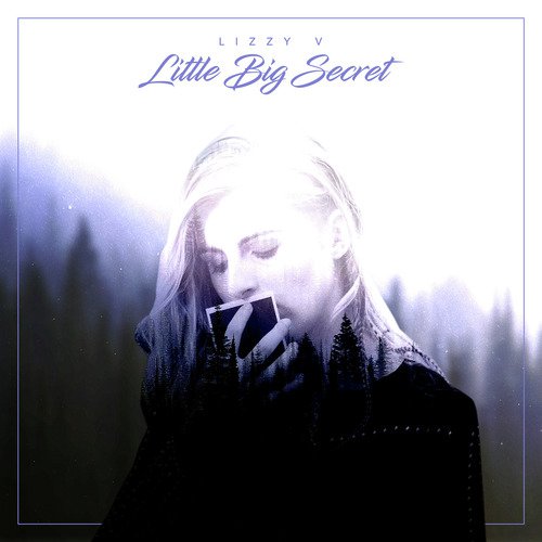 Little Big Secret_poster_image