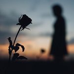 Lost Love