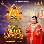 Mela Naina Devi Da