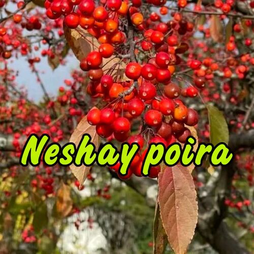 Neshay Poira