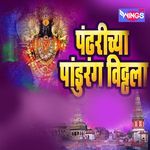 Pandharichya Panduran Vithala