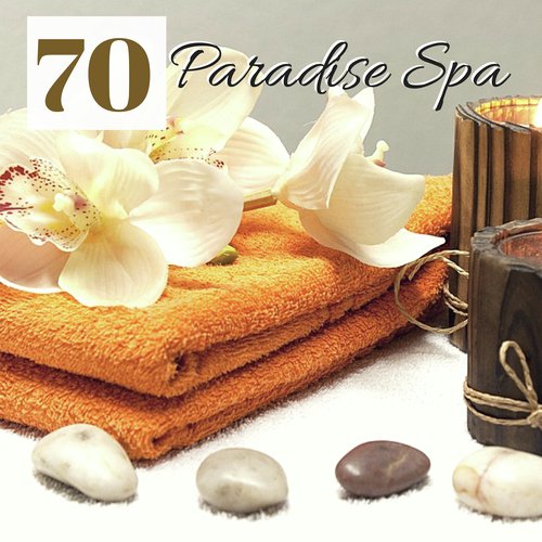 Beauty Spa cover art
