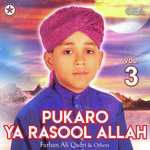 Pukaro Ya Rasool Allah, Vol. 3