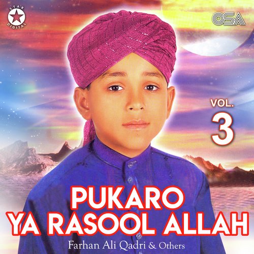 Pukaro Ya Rasool Allah, Vol. 3_poster_image