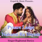Pyaare Laage Naharani Ra Shyam