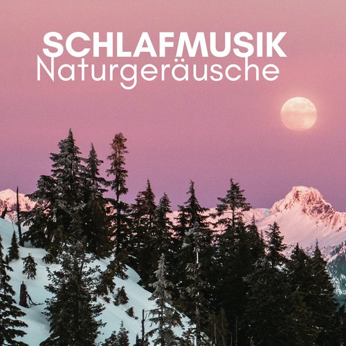 Natürlicher Schlaf cover art