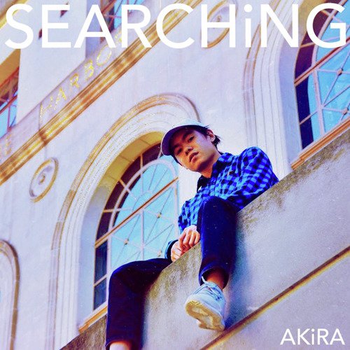 Searching_poster_image