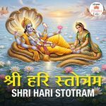Shri Hari Stotram artwork