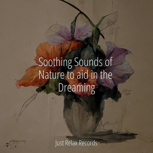 Soothing Sounds of Nature to aid in the Dreaming_poster_image