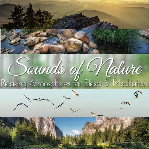 Sounds of Nature: Relaxing Atmospheres for Sleep & Meditation