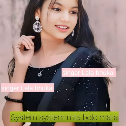 System system mta bolo mara