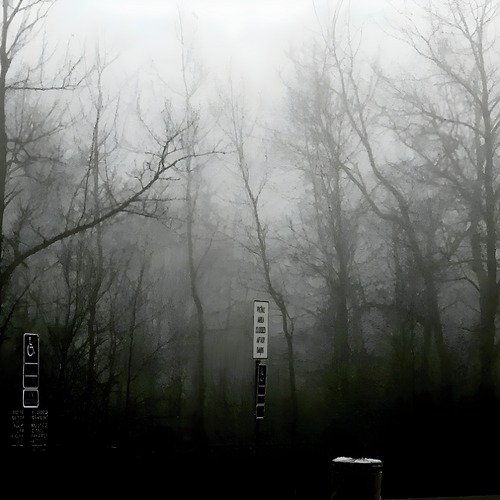 Dismembered in the Pacific cover art