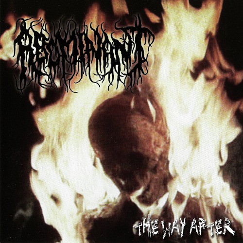 Taogehtssik cover art