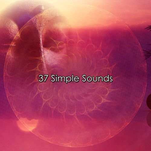 37 Simple Sounds_poster_image