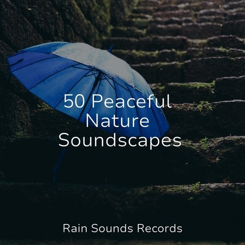 50 Peaceful Nature Soundscapes