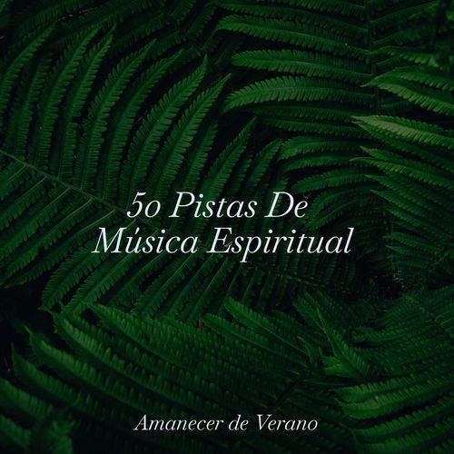 50 Pistas De Música Espiritual