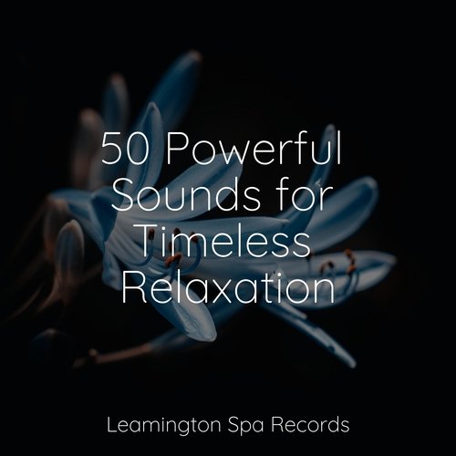 50 Powerful Sounds for Timeless Relaxation