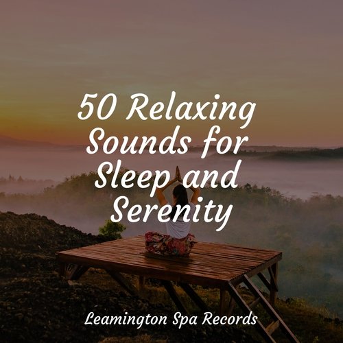 50 Relaxing Sounds for Sleep and Serenity