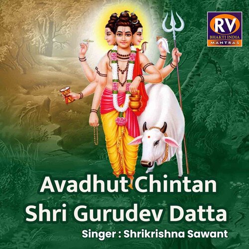 Avadhut Chintan Shri Gurudev