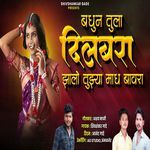 Baghun Tula Dilbara Zalo Tuzya Magh Bavara