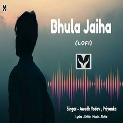 Bhula Jaiha (Lofi)-FlgsYhVDfVQ