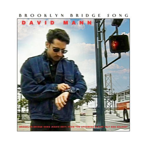 Brooklyn Bridge Song (Radio Edit)_poster_image