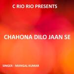 Chahona Dilo Jaan Se ( Nagpuri Song )