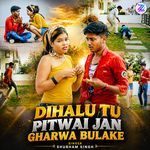Dihalu Tu Pitwai Jan Gharwa Bulake