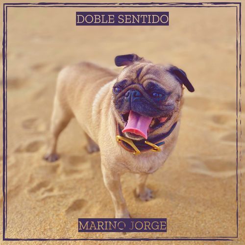 Doble Sentido cover art