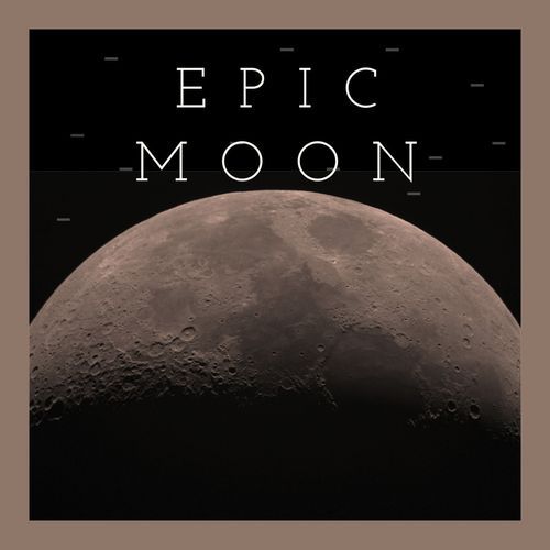 Alone in Crowd cover art