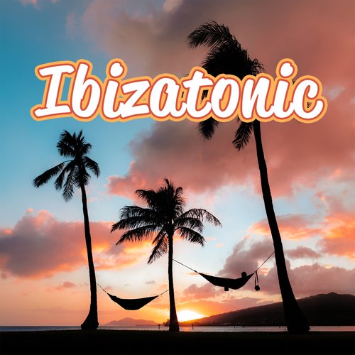 Epic Night in Ibiza: Melodic Techno House 2024