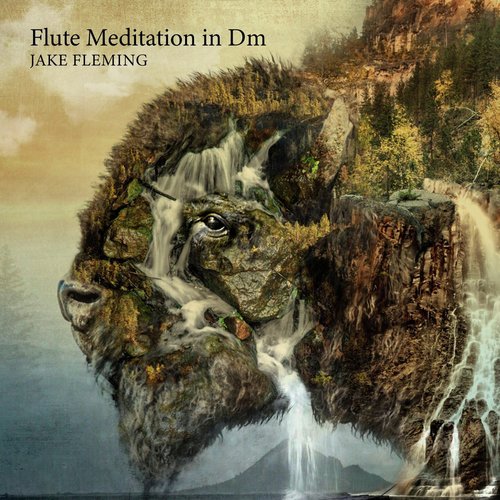 Flute Meditation in Dm cover art