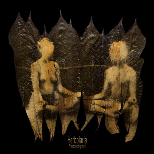 Phyllomedusa cover art