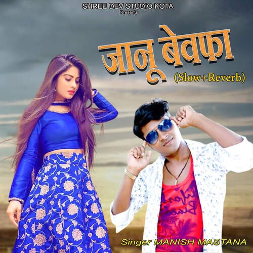 Janu Bewafa (Slow+Reverb)