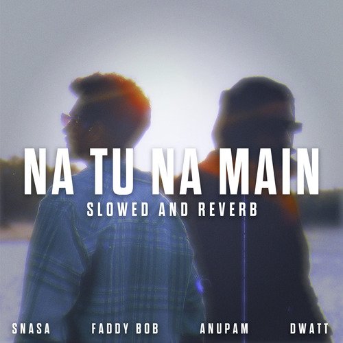 Na Tu Na Main (Slowed and Reverb)