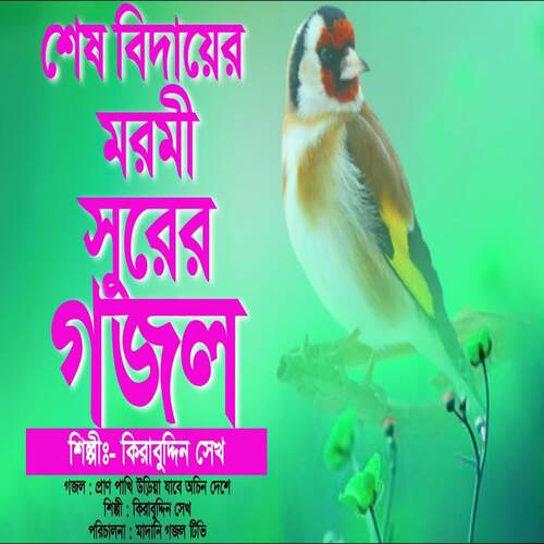 Pran Pakhi Oriya Jabe Ocin Desere