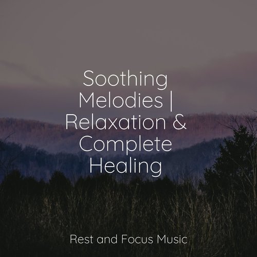 Soothing Melodies | Relaxation & Complete Healing