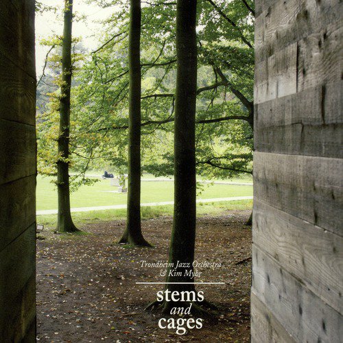 Stems and Cages_poster_image