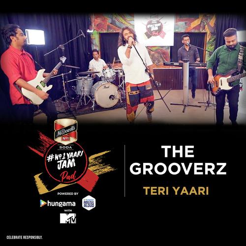 The Grooverz - Teri Yaari
