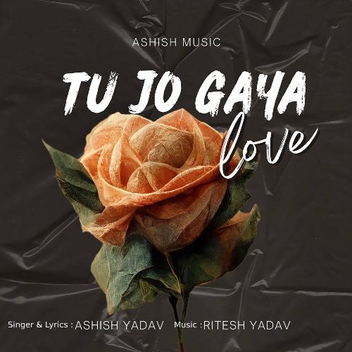 Tu Jo Gaya Love