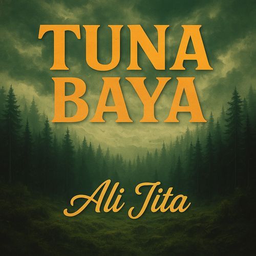 Masoyanmu (feat. Abubakar Sani) cover art
