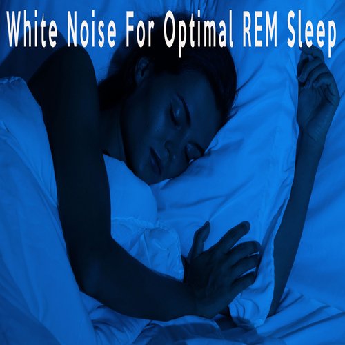 Nature's Noise Machine cover art