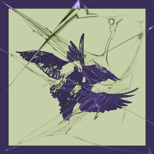taste nothing cover art