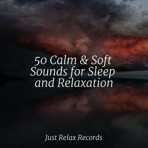 50 Calm & Soft Sounds for Sleep and Relaxation_poster_image