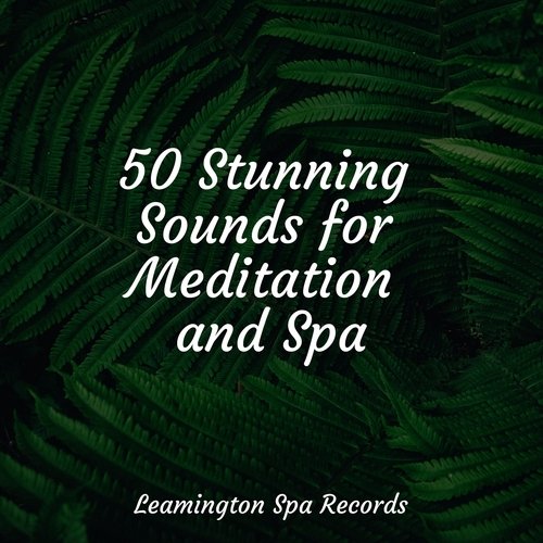 Massage Spa cover art