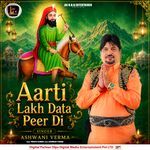 Aarti Lakh Data Peer Di artwork