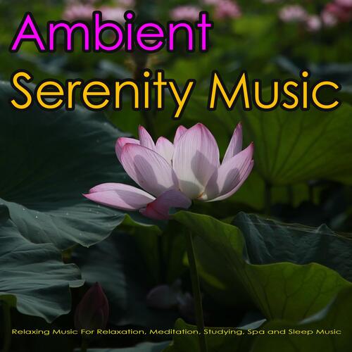 Ambient Serenity Music: Relaxing Music For Relaxation, Meditation, Studying, Spa and Sleep Music_poster_image