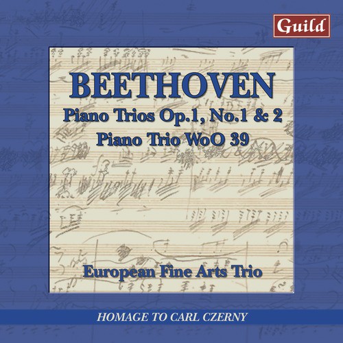 Piano Trio No. 1 in E-Flat Major, Op. 1, No. 1: III. Scherzo: Allegro assai
